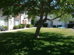 10310 10310 El Camino Real 6 - Photo 2 of 7