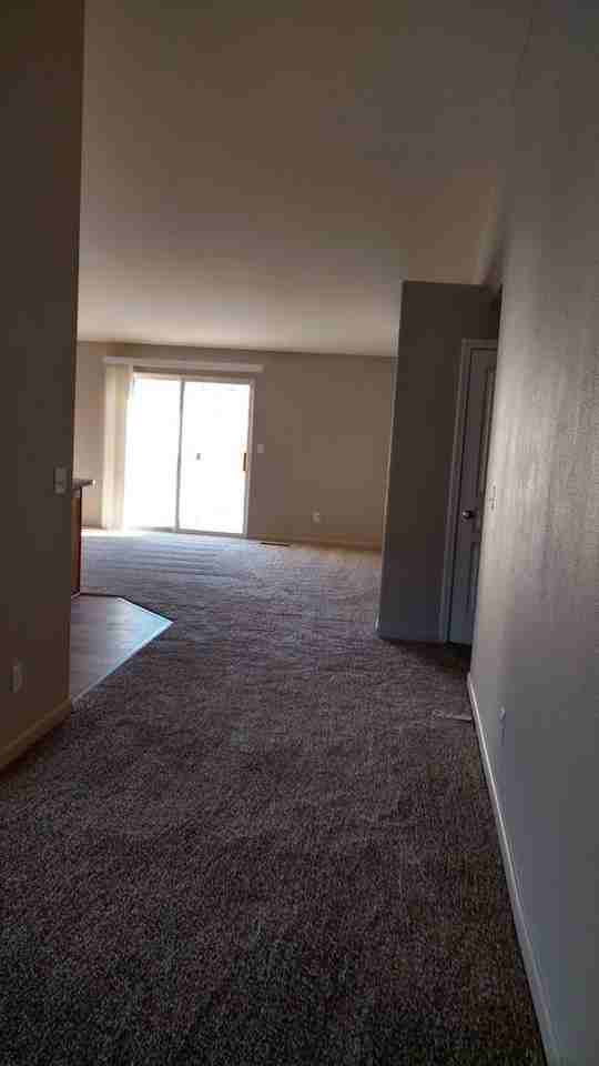 1375 White Bluffs Cir - Photo 2 of 16