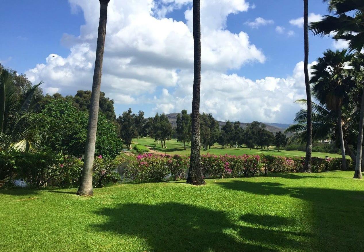 5333 Likini St #2003