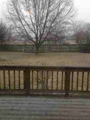 706 Shakamak Ct - Photo 2 of 2