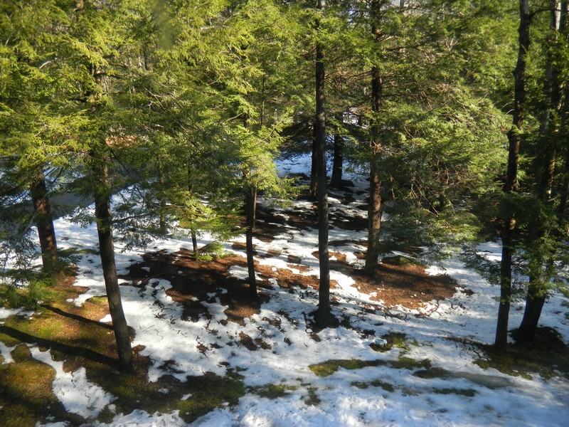 124 Wellsford Dr - Photo 2 of 13