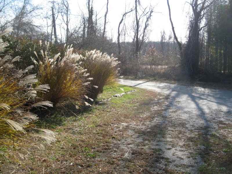 10A S Ferry Rd - Photo 3 of 12