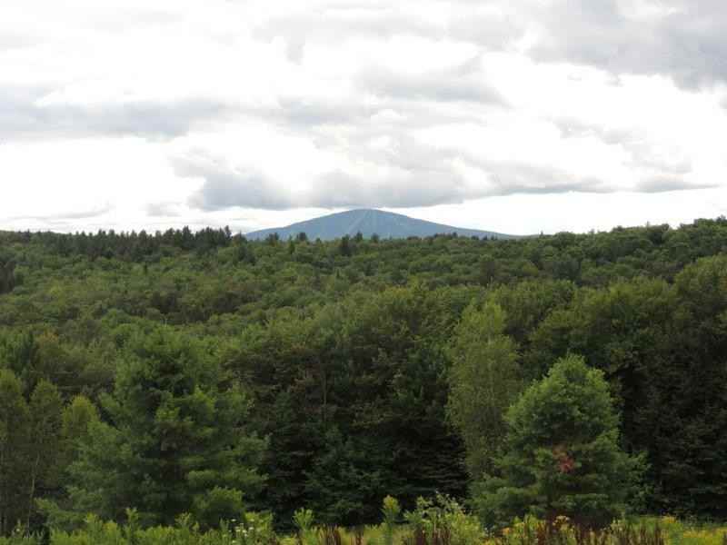 281 Rock Bottom Ln - Photo 3 of 14