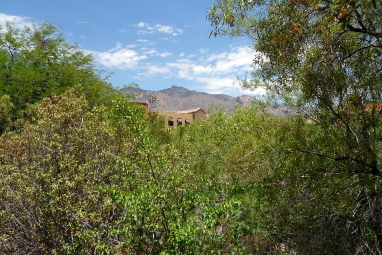 2924 E Placita Lupita - Photo 2 of 6