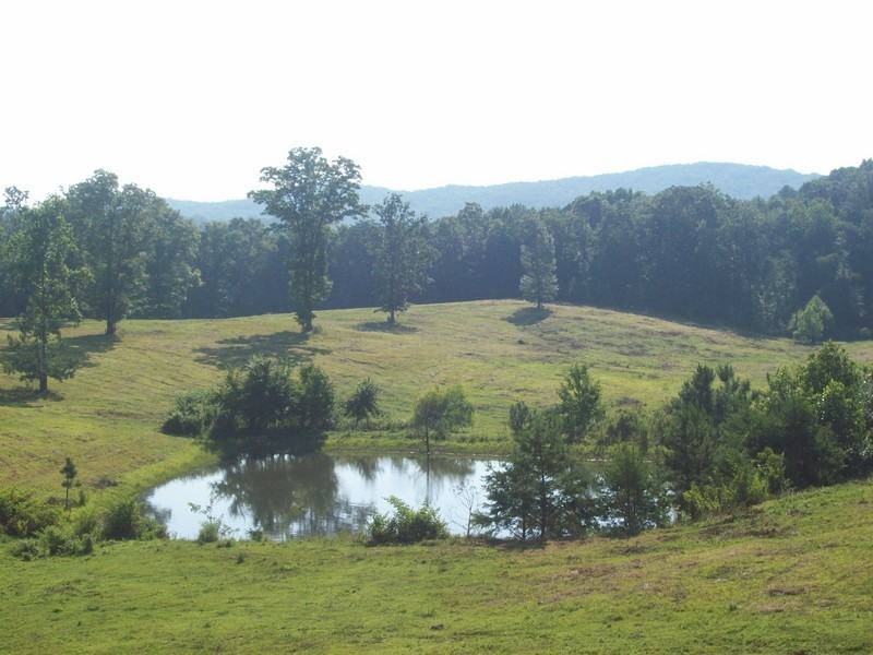 67 Co Rd 100 - Photo 3 of 34