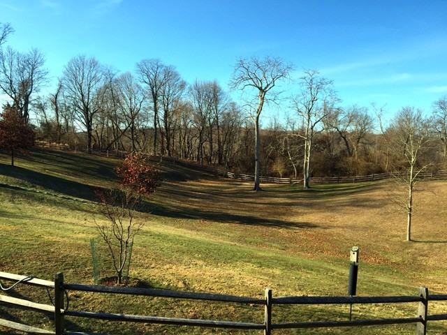 79A N Midway Rd - Photo 2 of 9