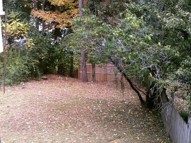 1409 Westside Ave - Photo 2 of 13