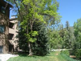 featured image of 1050 W Beaver Creek Blvd #E202