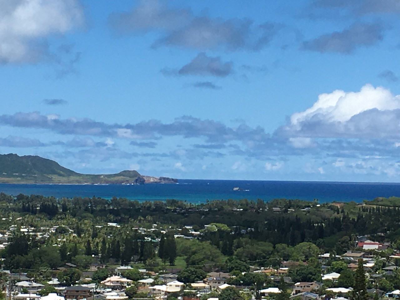 1261 Aupupu Place - Photo 2 of 22