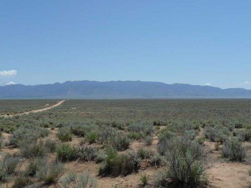 939 N 3rd St #g - Photo 2 of 3