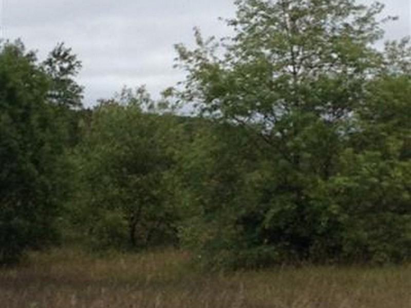 2901 Greenbriar - Photo 3 of 23