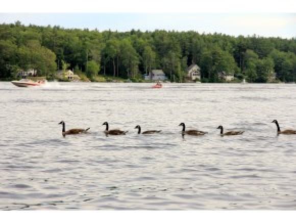 19 Nottingham Rd - Photo 2 of 23