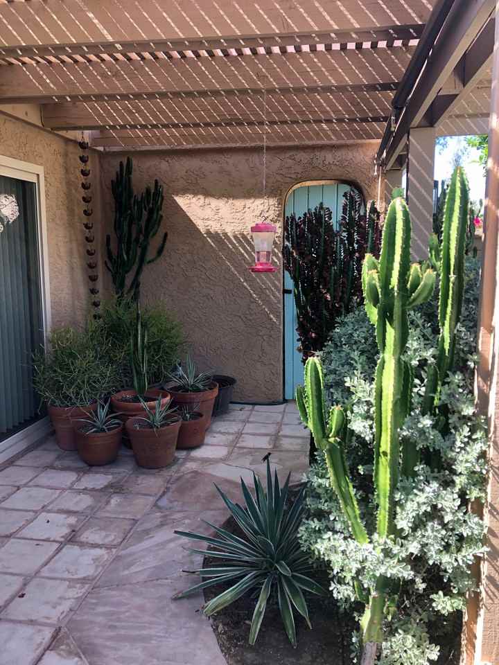 44239 Venice Court - Photo 5 of 38
