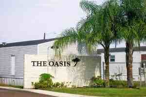 Oasis - Photo 2 of 6