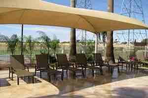 Sun Garden - Photo 3 of 11