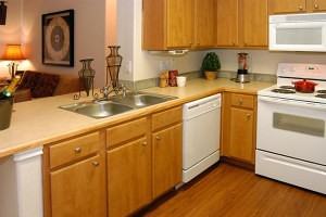 Silverado at Brushy Creek - Photo 3 of 18