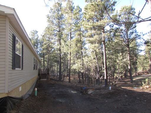 13494 Adjenty Ct - Photo 3 of 17