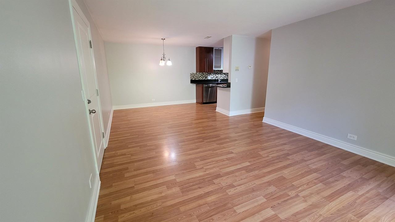 508 N Cass Ave #204 - Photo 4 of 18