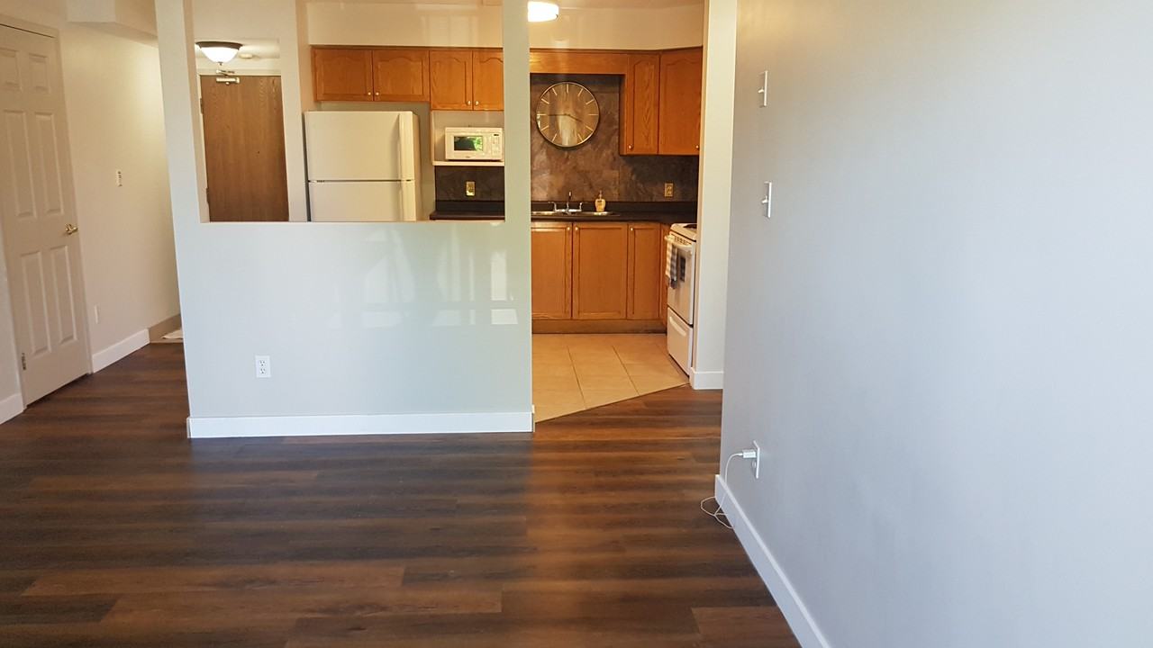 Ottawa St & Langlois Ave #203 - Photo 4 of 11