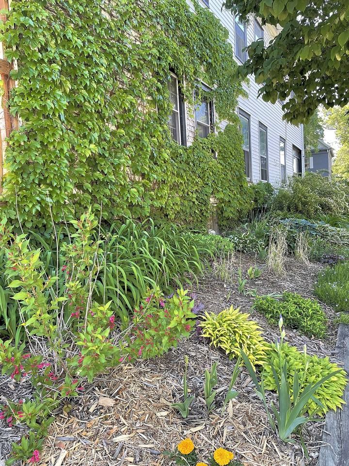 1901 3rd Ave N - Photo 2 of 15