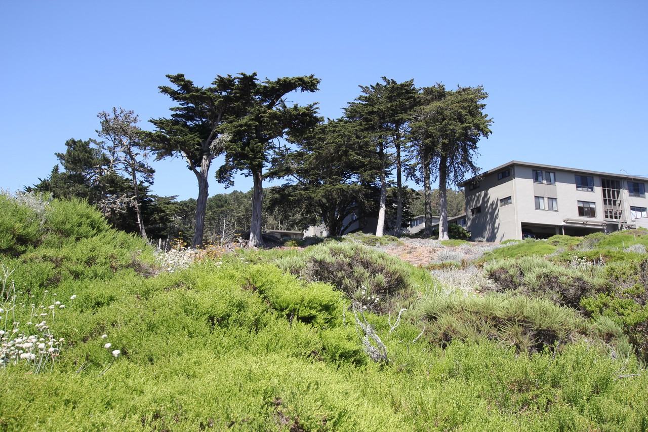 1573 Pershing Drive #B - Photo 2 of 16