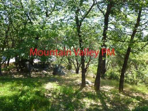 13931 Ingersoll Dr - Photo 3 of 13