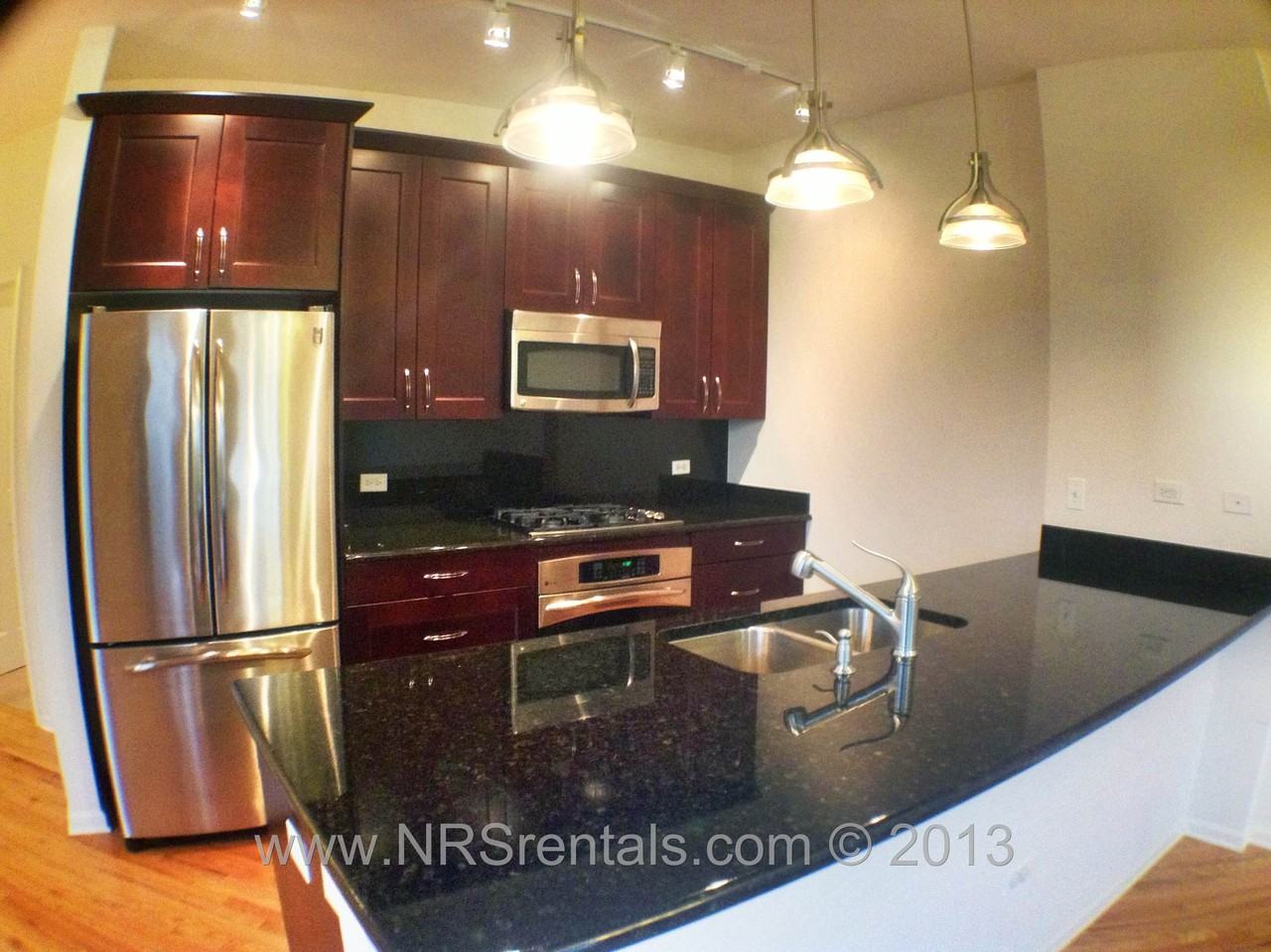 1431 S Halsted St #3B - Photo 2 of 18