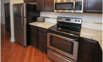 Apartments for Rent In Central Business District, Kalamazoo, MI - 93 