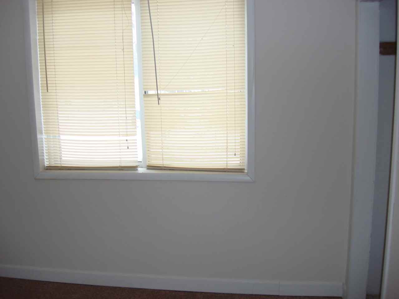 15504 Chelsea St - Photo 3 of 11