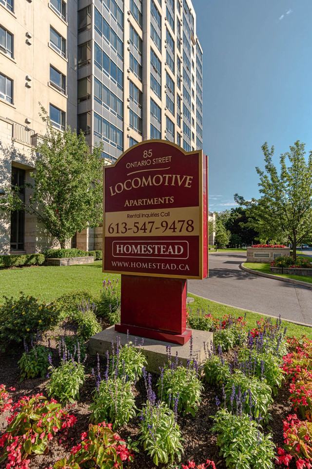 Works Apartments 85 Ontario St, Kingston, ON K7L 5V7 Zumper