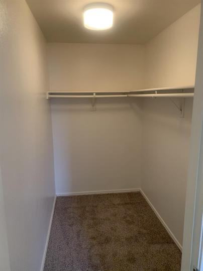 Le Mirage Apartments - Photo 3 of 4