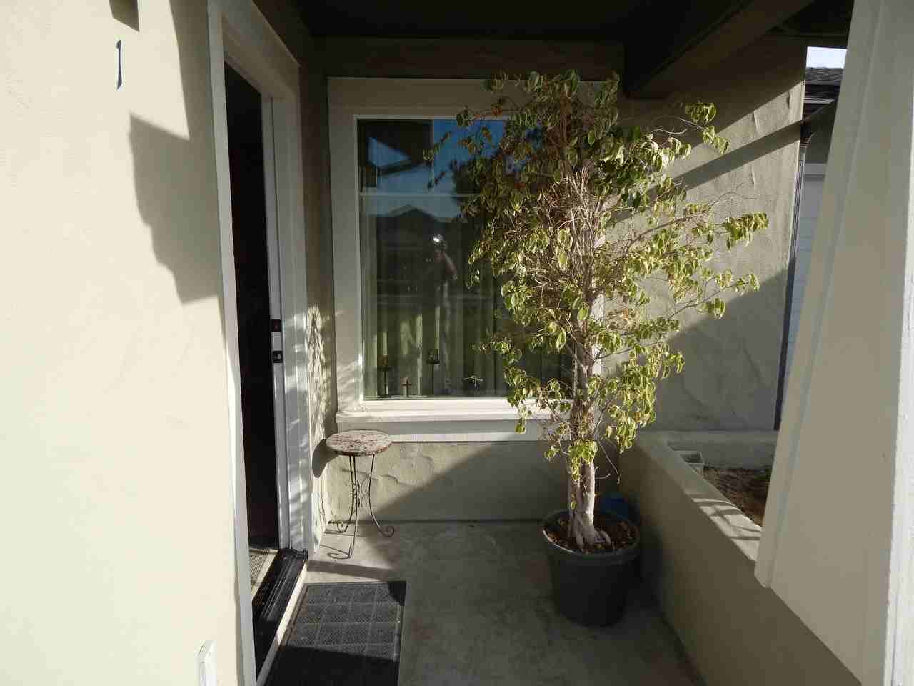3883 Cassini Cir #1 - Photo 2 of 16