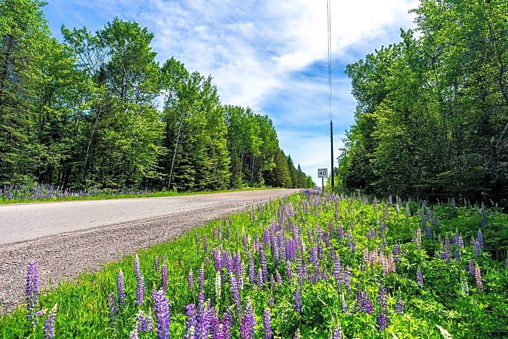 2899 E Pioneer Rd - Photo 3 of 33