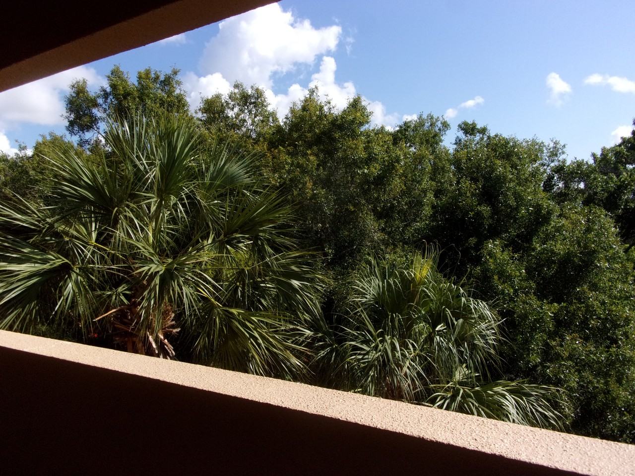 3078 Eastland Blvd #403 - Photo 3 of 40