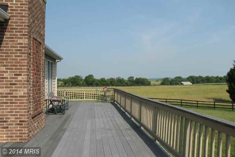 14991 Merritt Farm Ln - Photo 2 of 14