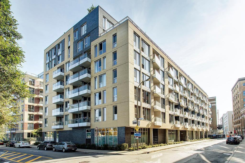 1010 Rue William #229