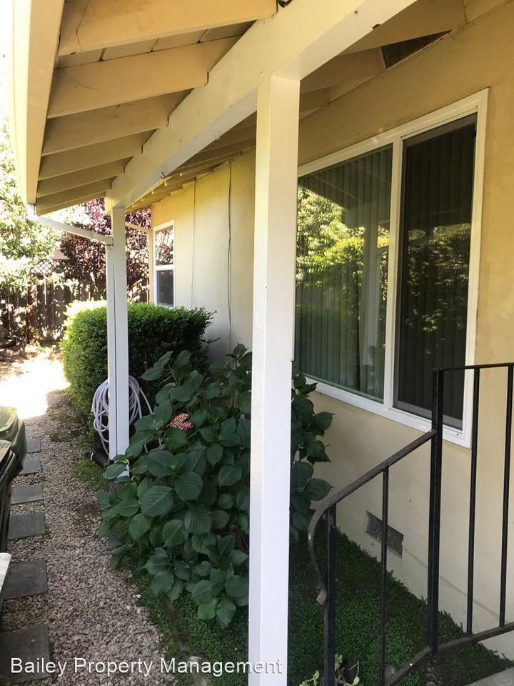 Pine Street - Photo 3 of 17