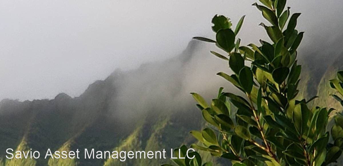 4635 Poha Kea Point 46035 Konohiki Street 3832, Kaneohe, HI 96744 3