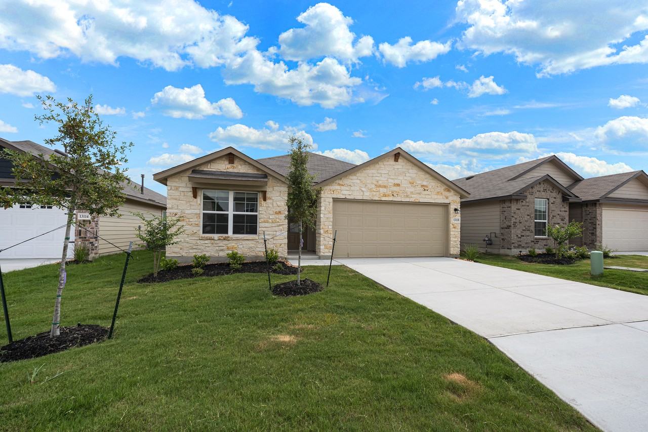 13118 Needle Grass #1