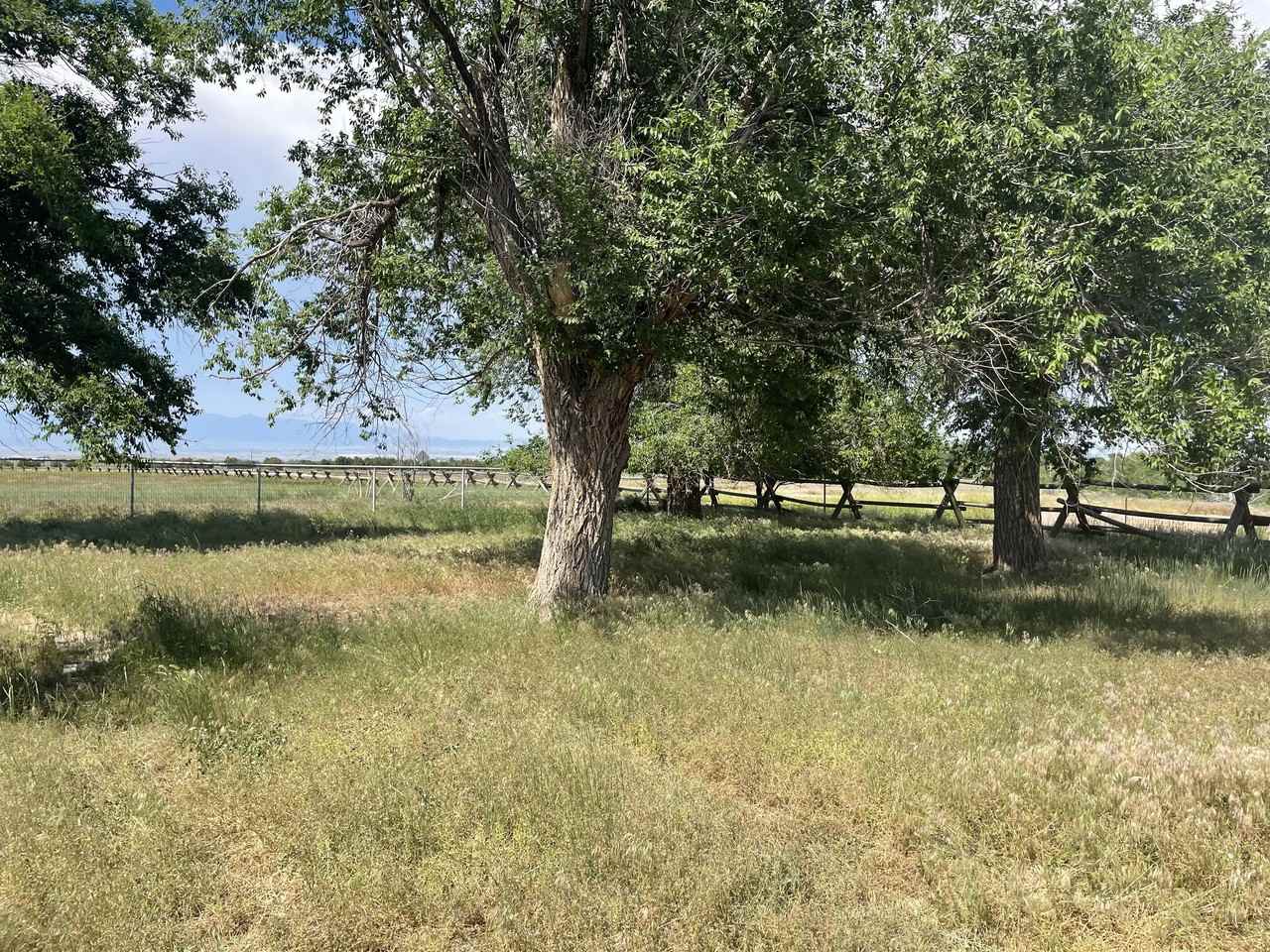 179 State Highway 67 #1 - Photo 4 of 11