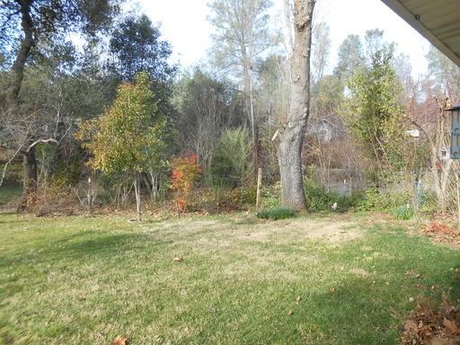 1934 Herbscenta Ln - Photo 3 of 5