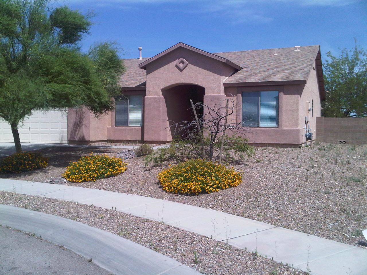 6645 S Squawroot Pl - Photo 3 of 7