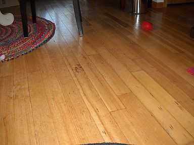 5744 Mcquade Rd - Photo 3 of 4