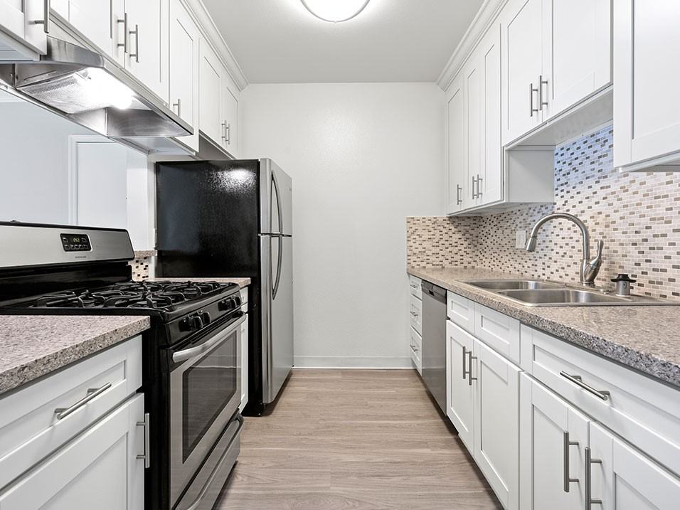 Rose North - Photo 3 of 29