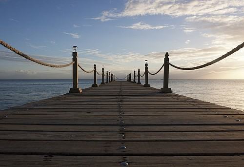 3001 Lakehouse Cove Isle - Photo 2 of 8