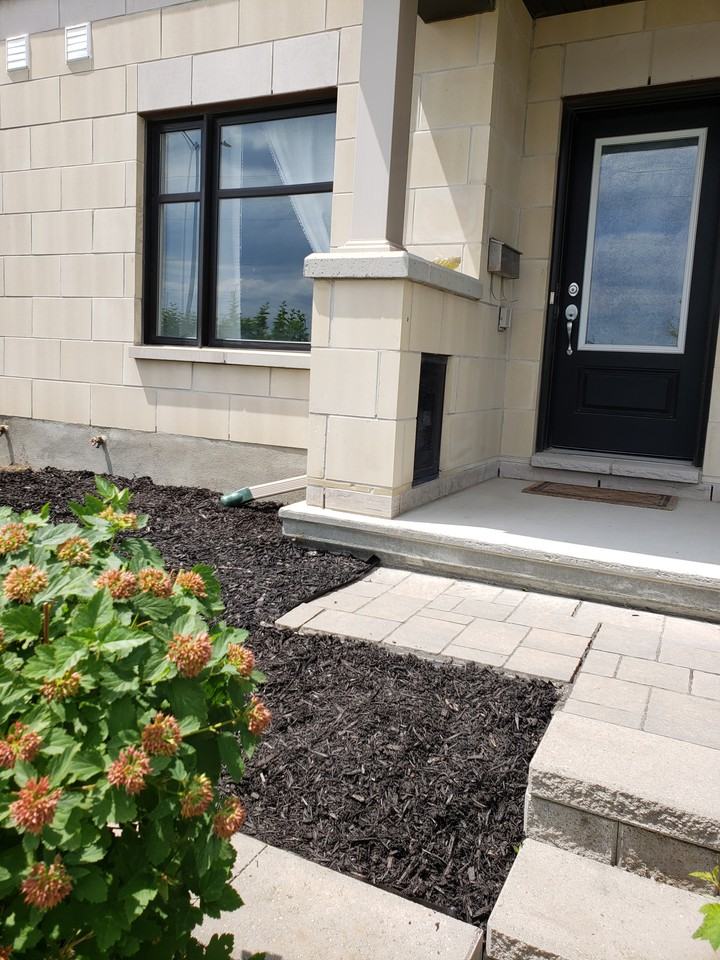 526 Silvertip Lane - Photo 2 of 22