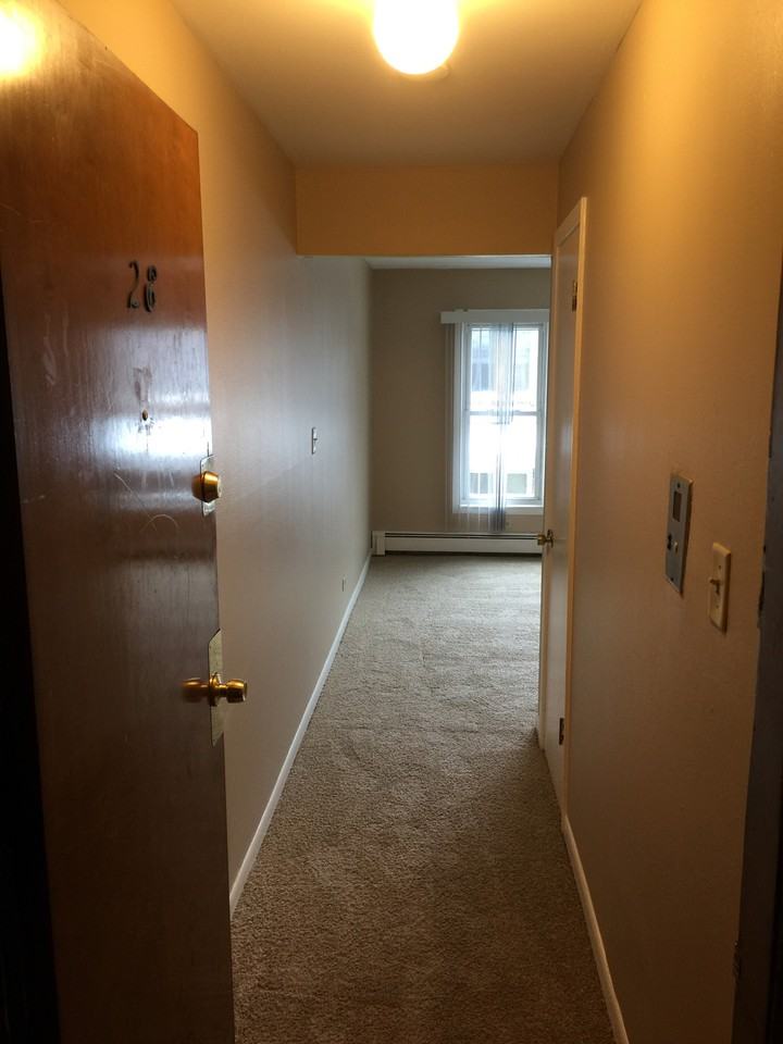 9841 S Harlem Ave #2E - Photo 2 of 18