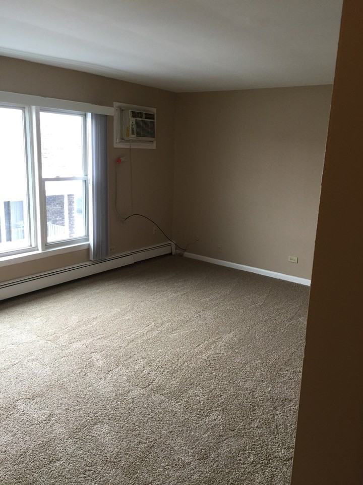 9841 S Harlem Ave #2E - Photo 3 of 18