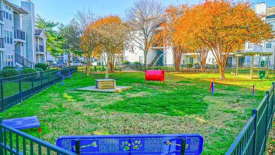 Hampton Center Apartments - Photo 5 of 28