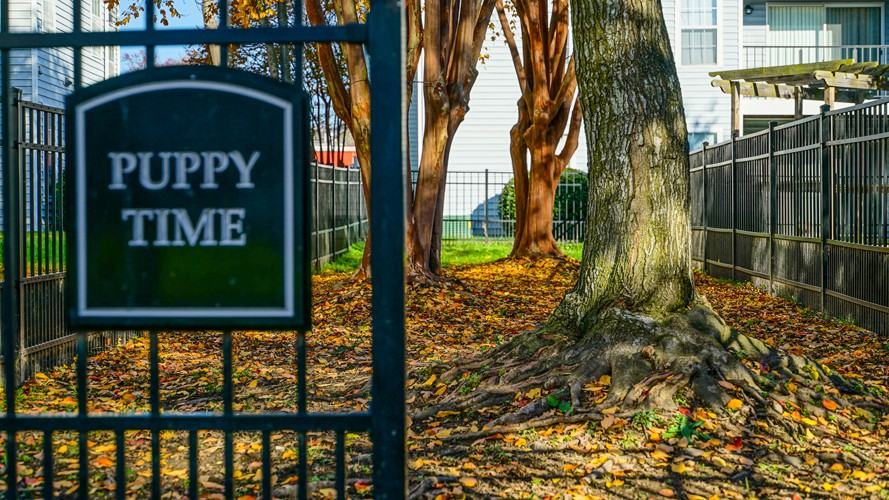 Hampton Center Apartments - Photo 7 of 28